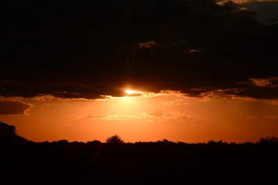 DSC_9727 (Large).JPG